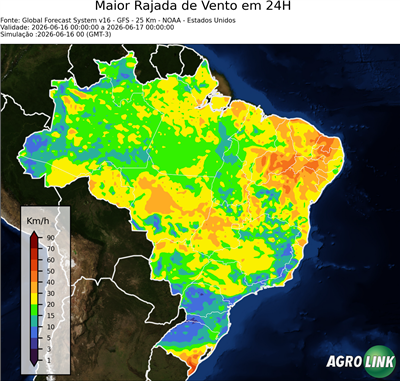 24 horas