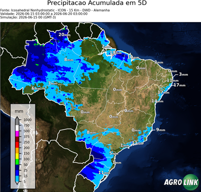 5 dias