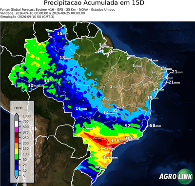 15 dias