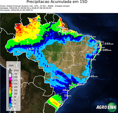 15 dias