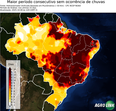 15 dias