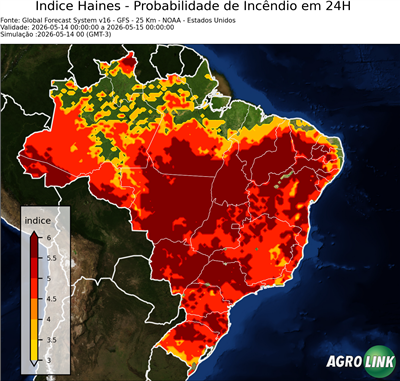 24 horas