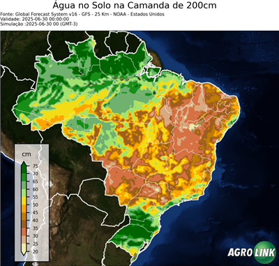 24 horas