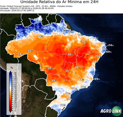 24 horas