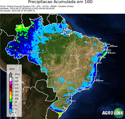 10 dias