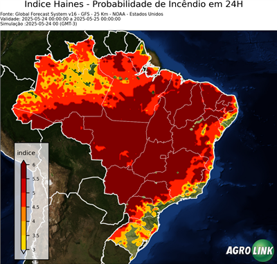 24 horas