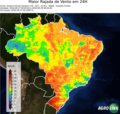 24 horas