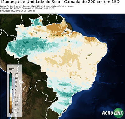 15 dias