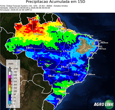 15 dias