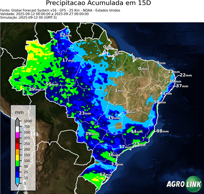 15 dias
