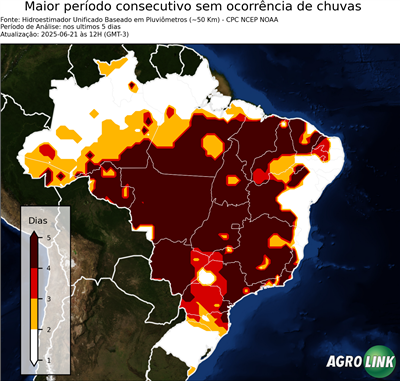 5 dias