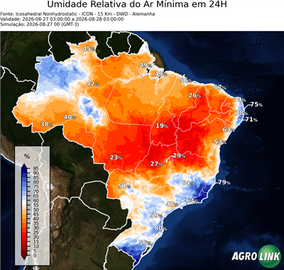 24 horas