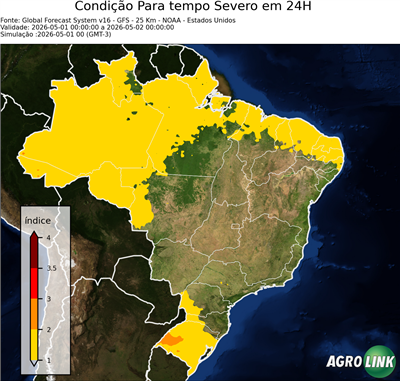 24 horas