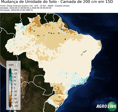 15 dias