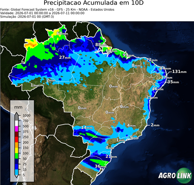 10 dias