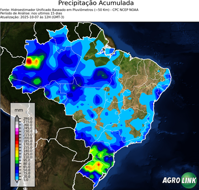 15 dias