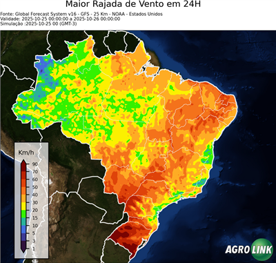 24 horas
