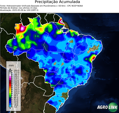 15 dias