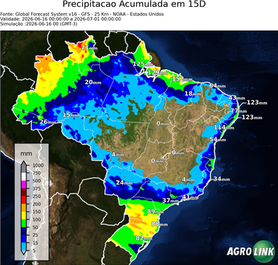 15 dias