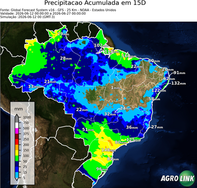 15 dias