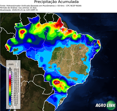 15 dias