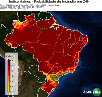 24 horas