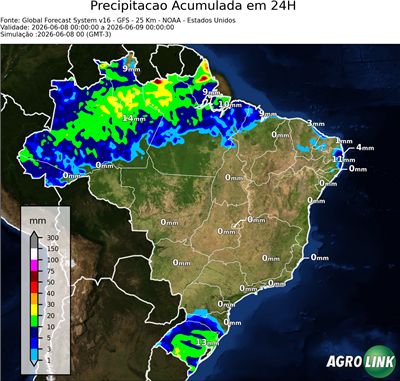24 horas