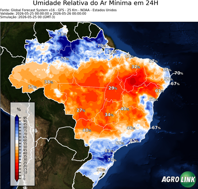 24 horas