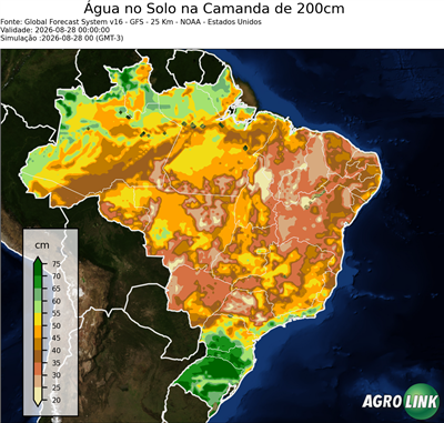 24 horas