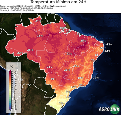 24 horas