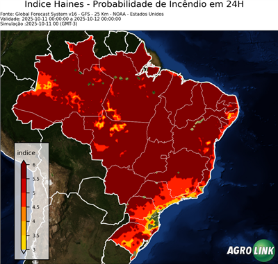 24 horas