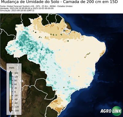 15 dias