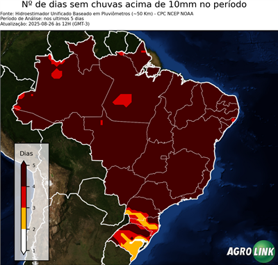 5 dias