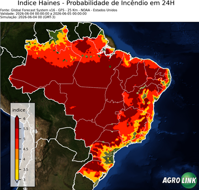 24 horas
