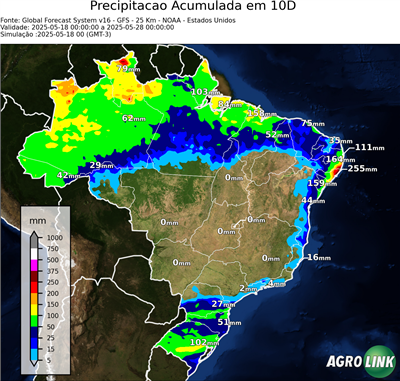 10 dias