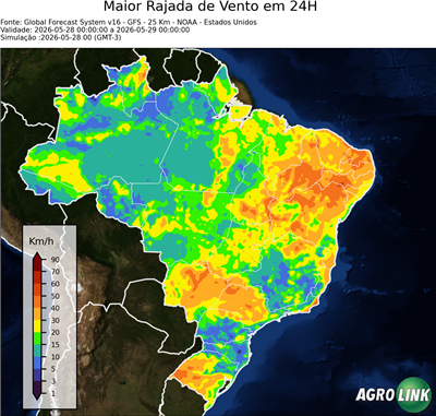 24 horas