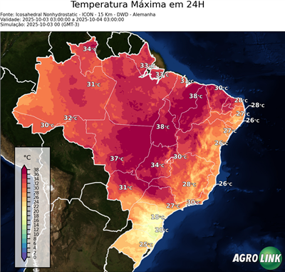 24 horas