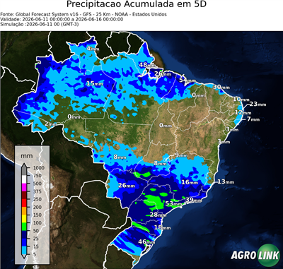 5 dias
