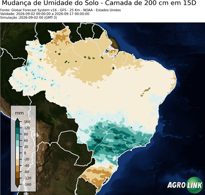 15 dias