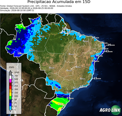 15 dias