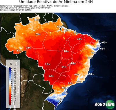 24 horas