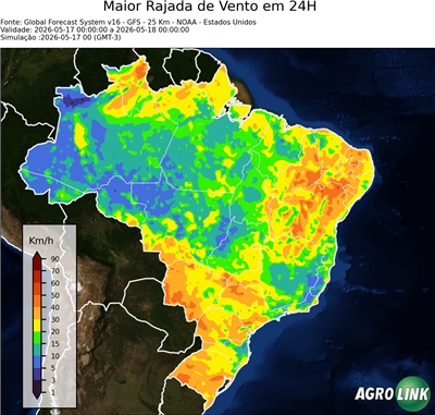 24 horas