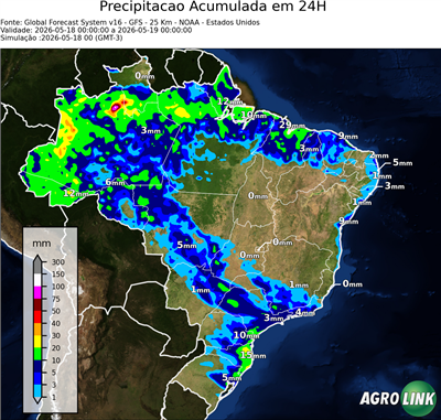 24 horas