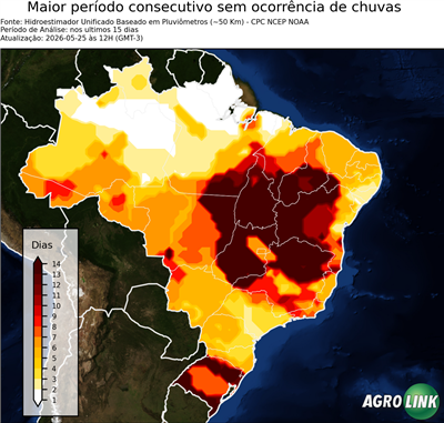 15 dias