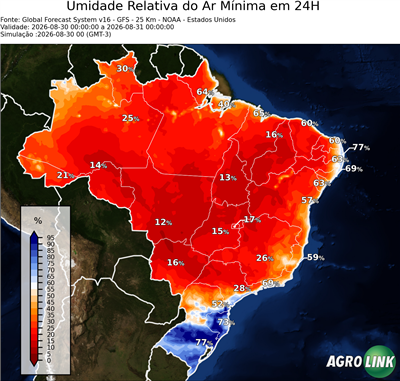 24 horas