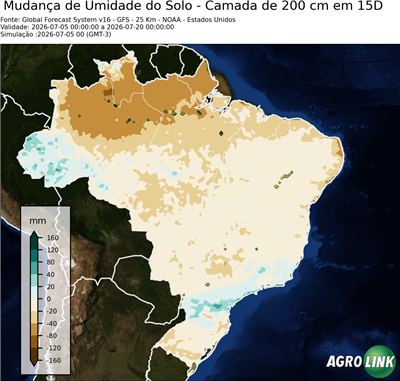 15 dias