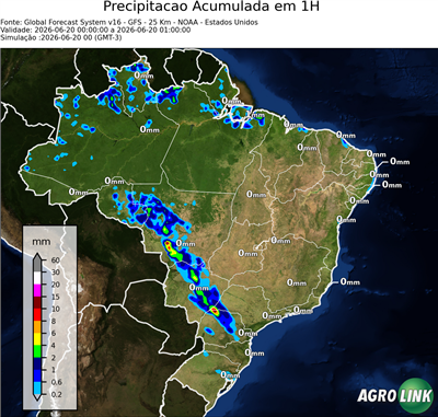 1 hora