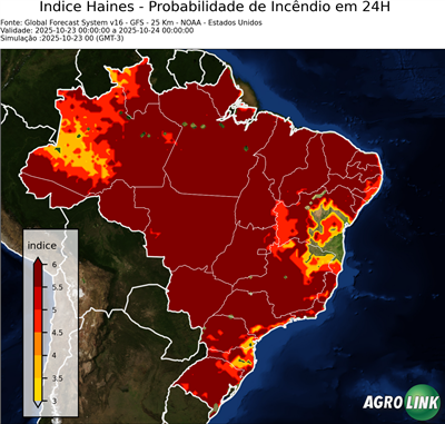 24 horas