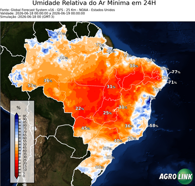 24 horas