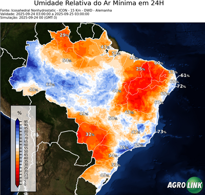 24 horas